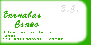 barnabas csapo business card